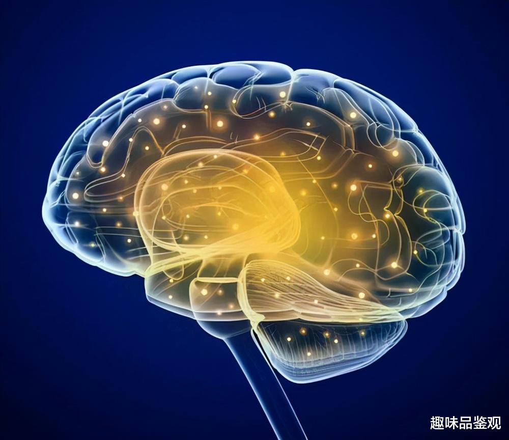 基因 外星人通过改变人类基因，降低我们的智慧和寿命？时间会证明一切