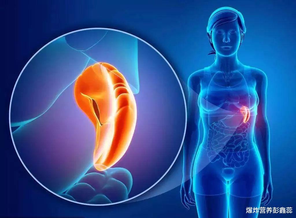 |脾虚是“百病之源”，不吃寒凉食物，适当吃4种美食，脾好人健康