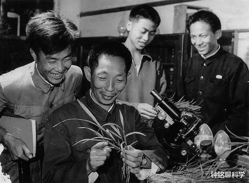 袁隆平|国士无双的袁隆平，儿孙都是做什么的？有人能接过他的衣钵吗？
