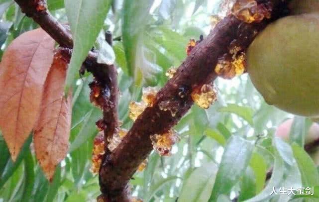 衰老|皱纹最怕这三种碱性食物，如果经常吃的话，雌激素满满不衰老