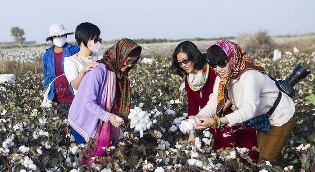 三大股指 新疆棉遭抵制，我国90％采棉机市场也被美国垄断