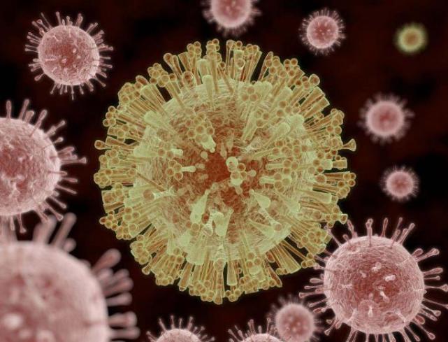 新冠風波尚未度過，又一新型病毒現身美國，死亡率高達40%-圖5