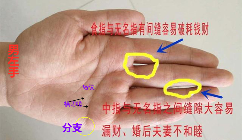 诚然情感之事|手相：天纹感情线3种标记，谨防婚姻多变