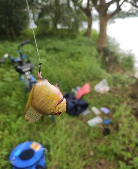 长江|男子钓鱼“钓到自己”被困深山，男子：没有信号，手疼得没法开车