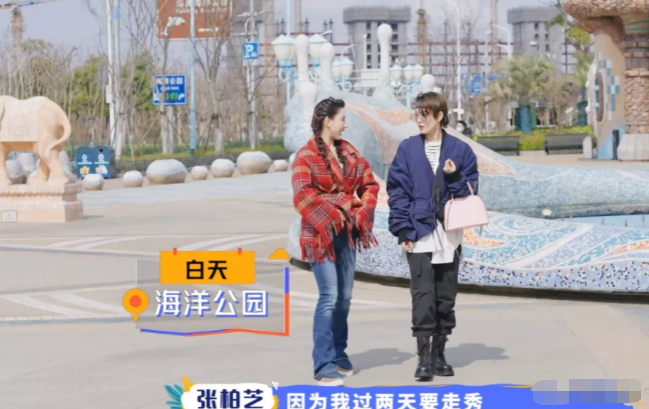 张柏芝|你还敢信张柏芝吗？仗着一张漂亮的脸，满嘴跑火车，受不了了！