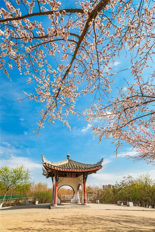 哈尔滨新闻网 好多美图｜景美人少不堵车，香坊10个免费大公园五一来逛逛