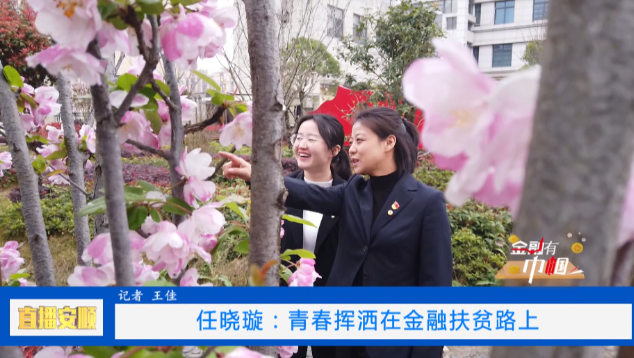 安顺直通车 金融有“巾帼”风采系列—任晓璇:青春挥洒在金融扶贫路上