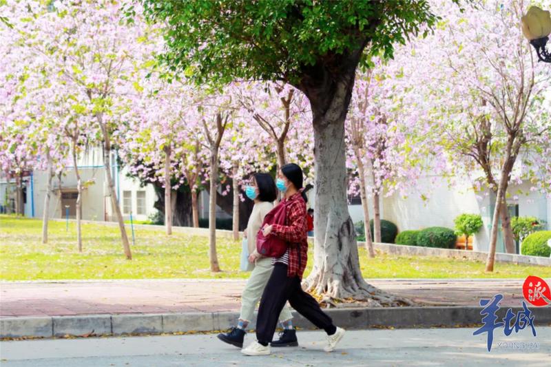 羊城派 办学15年的“成人礼”!广州新华学院揭牌