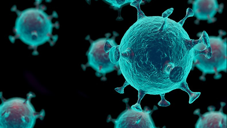 新型冠状肺炎|每天二两酒，可以防新冠？