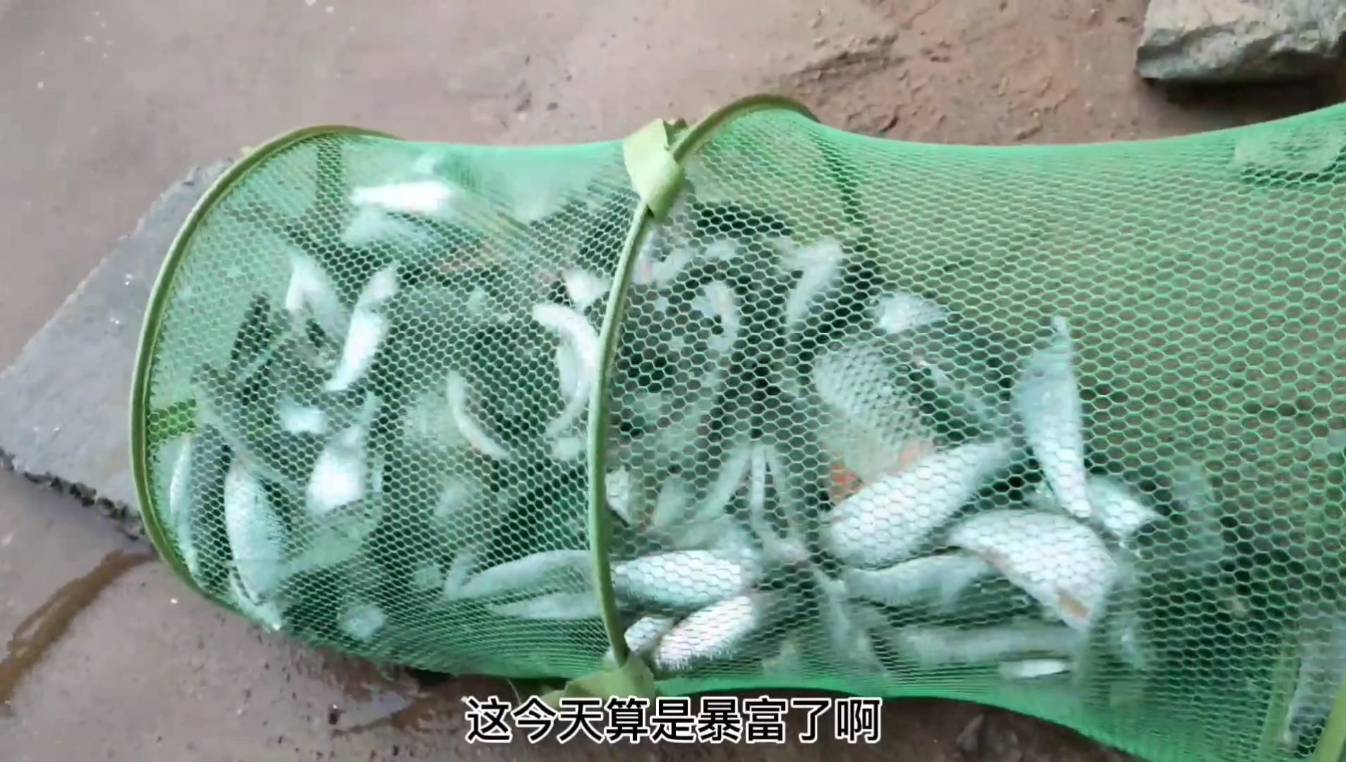 |找钓位钓鱼经历