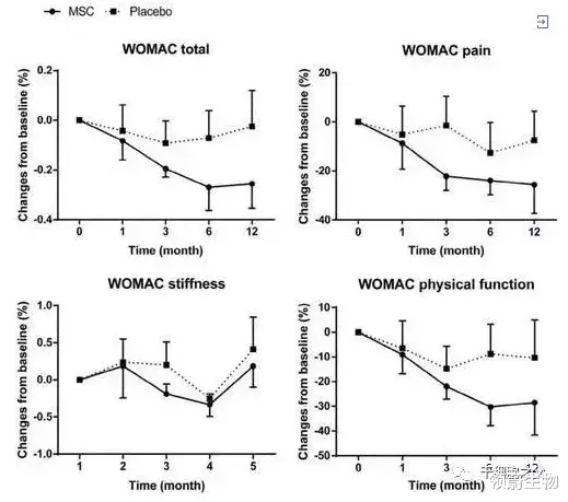 骨关节炎|你的膝盖还好吗?干细胞或将成为膝骨关节炎最有效的调节方式!