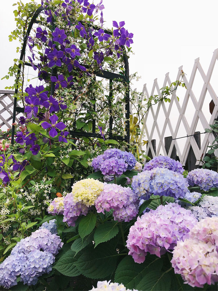 花一年多时间，改造16㎡屋顶露台，荒废屋顶变身“空中小花园”