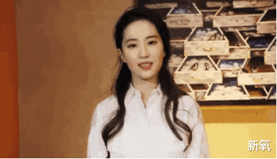 杨幂|给杨幂的轮廓安上刘亦菲的五官，居然能丑成这样...