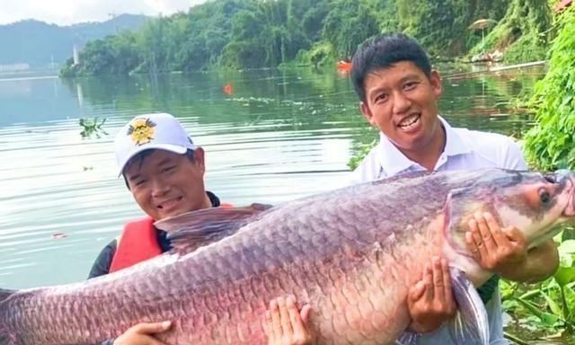 张九南|靠一根鱼竿征服2000万人，如今受到刘德华邀约，同台竞技？