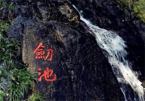 浙江3岁男童景区撒尿被机长夫人指责,妈妈与其厮打坠崖,法院判了