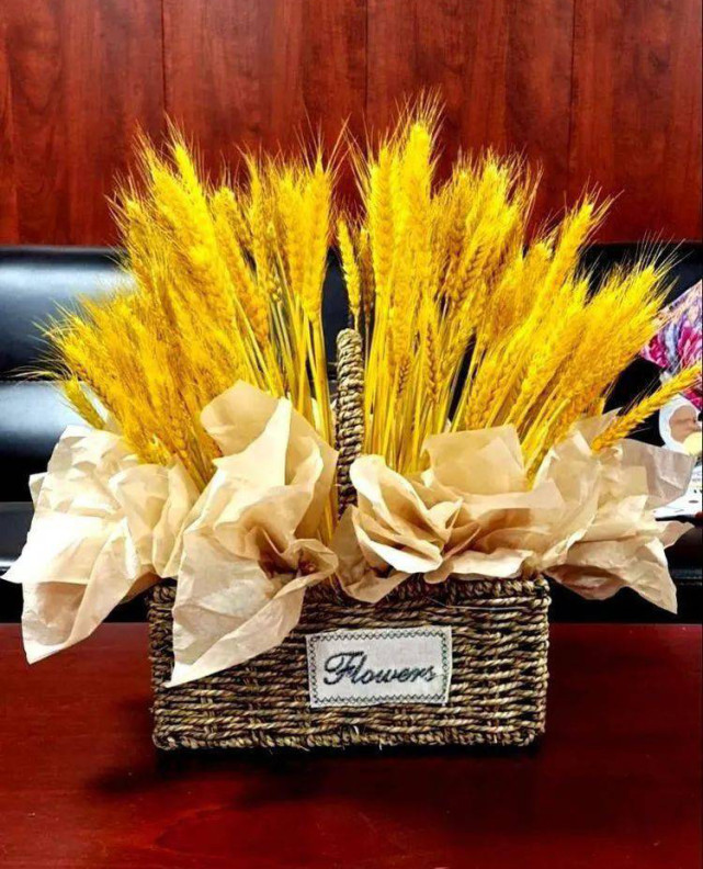 热点微评社 瞎操心!农民将“麦子制工艺品”被批浪费:多赚钱有何不好?