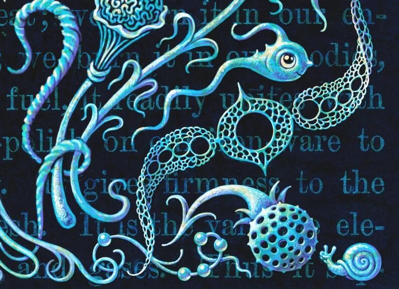 难道火星早就有生命了吗?机遇好拍到“蜥蜴”,这到底是什么?