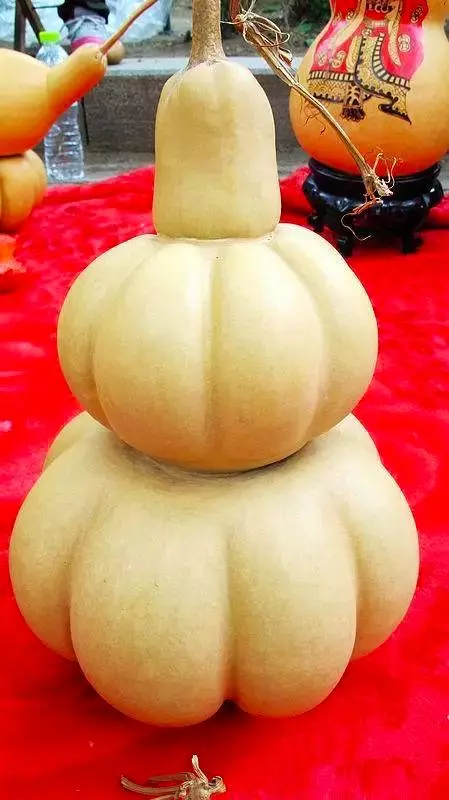 葫芦|丑到不行的文玩,价格为啥还这么贵?