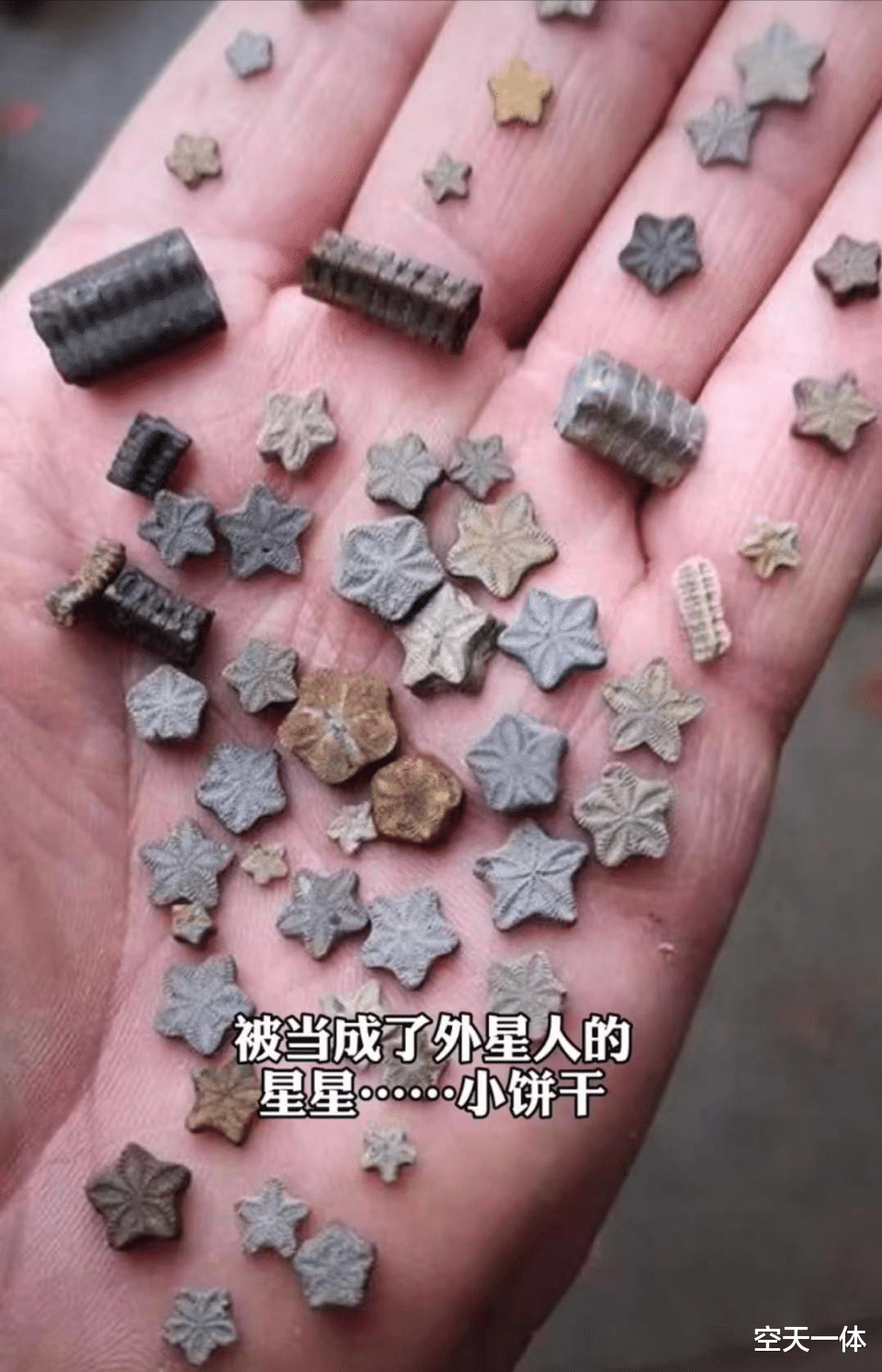 “毅力”号火星车发现一块奇怪岩石,NASA:没人见过的东西