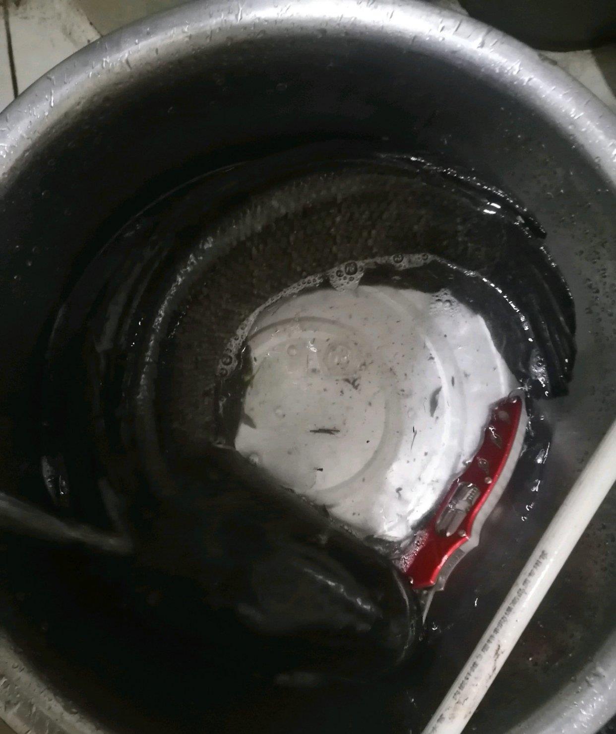 蟒蛇|广东钓鱼人钓起罕见“老黑鱼”,钓鱼人:老婆不敢杀,说像蟒蛇