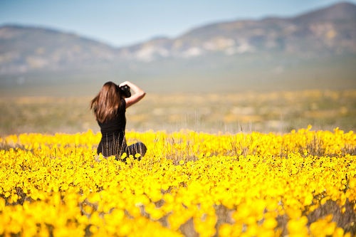 |男人做家庭煮夫被提离婚，大骂妻子冷血，妻子：我养不起你