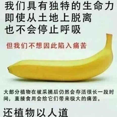 明星|仅45分钟视频，就让7位明星推上热搜，关晓彤与9位艺人受牵连