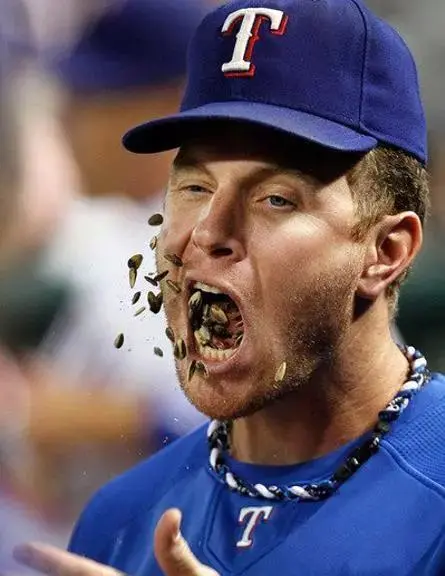 厨房人类 为什么你一磕瓜子就根本不想停下来？