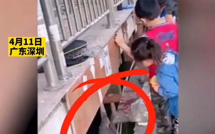 深圳市|广东深圳：美女钓鱼不慎落水悬空，凭借惊人的体力顽强上岸