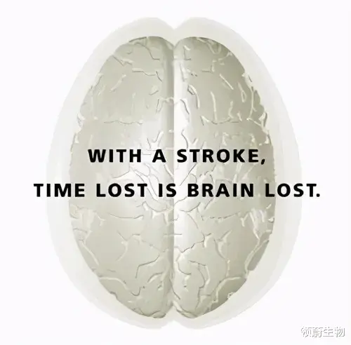 脑卒中|脑卒中并非“卒”不及防!防治牢记这4点!