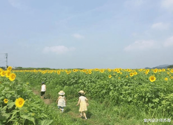 |日本三兄妹的幸福生活！97㎡房屋面积，田园式设计风格，太治愈了