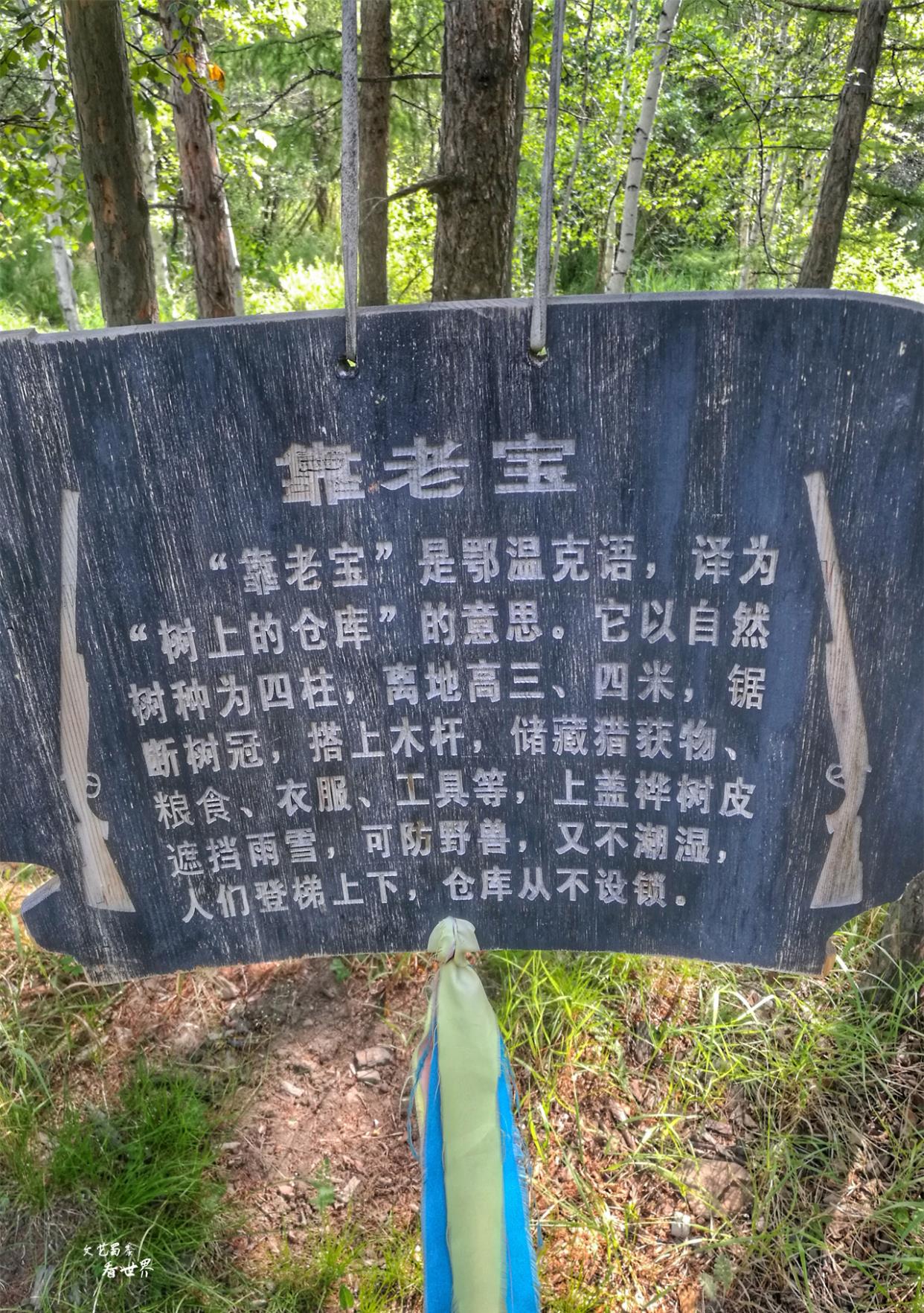 文艺蜀黎看世界 全球有9个国家20多个民族饲养驯鹿,我国有1个民族,他们现在如何