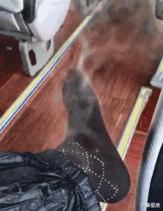 小秦星座|搞笑GIF：本来是想吓一下别人。不想到自己竟遭了殃。失算啊！