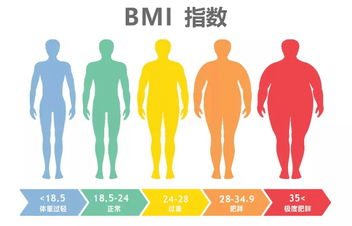 女孩 50岁后的女性，如何判断自己用不用减肥？参考“体重指数”就清楚