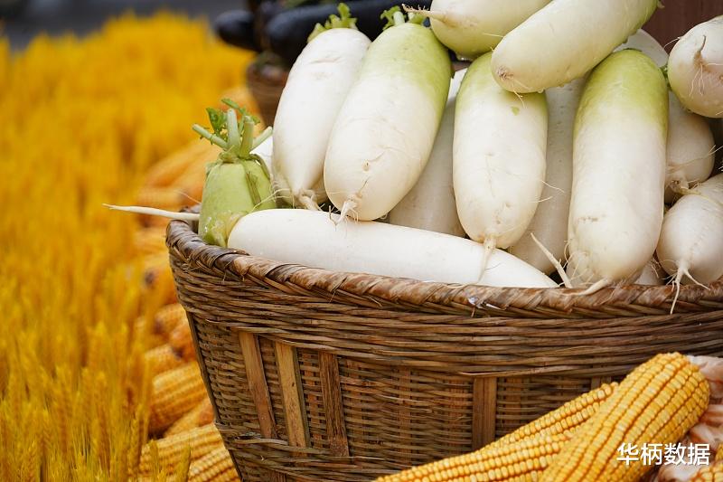 萝卜|冬日养生，“小人参”这样吃