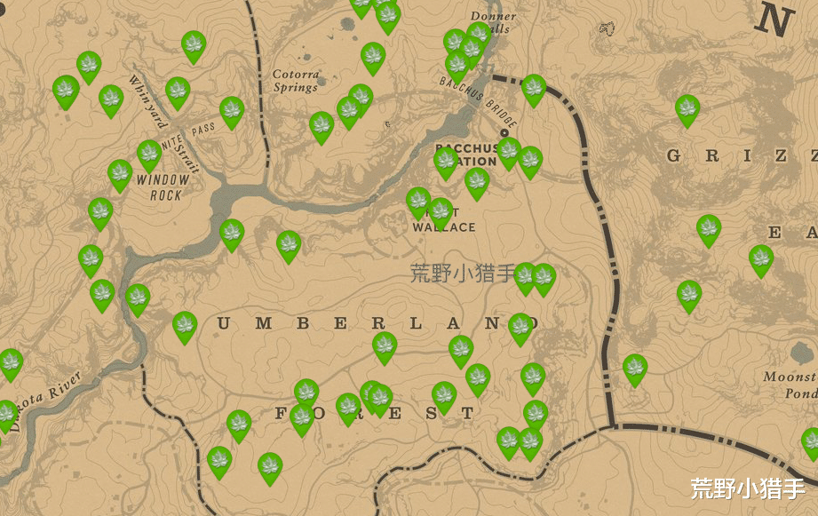 荒野大镖客2|【荒野大镖客2】每日任务更新攻略2021年11月21日