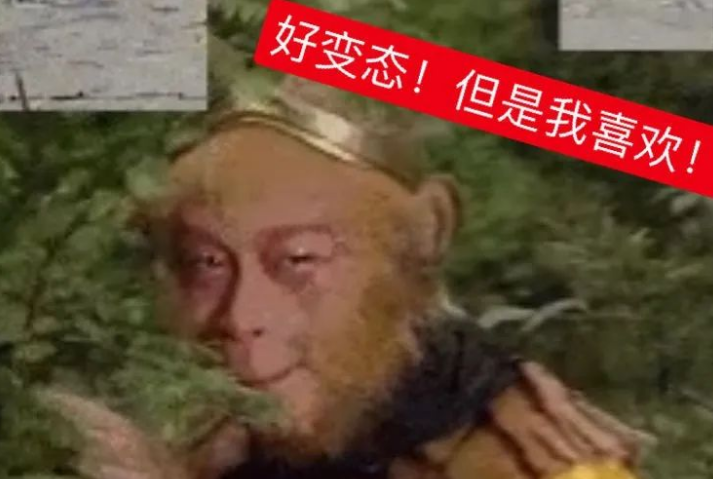 一宅家族|又挖到一部宝藏剧?