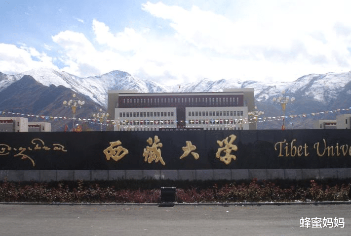 蜂蜜妈妈|407分也能考“一本”?分数不高的考生注意,这些院校能“捡漏”