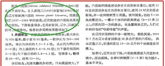 |因为钓鱼人的“贪婪”，这种淡水巨怪在欧洲成灾，其实我国也有