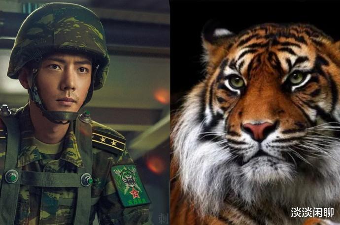 刘诗诗|悲剧命运？站高一点儿！肖战戏里戏外注定是强大而辉煌的！