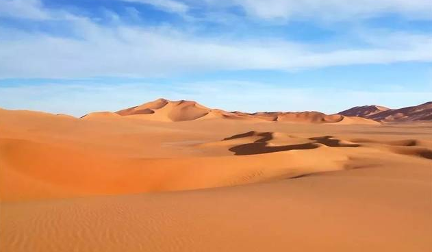 恐龙|沙漠中生活着什么样的恐龙？化石记录了证据