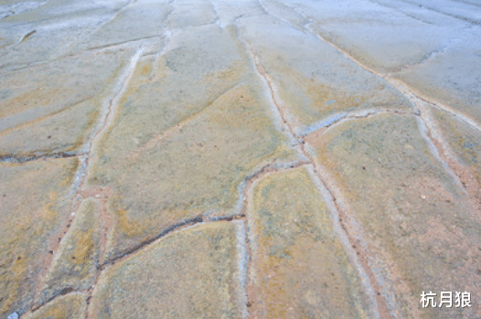 小行星 小行星撞击地球导致恐龙灭绝时引发的1500米高的海啸的痕迹被发现