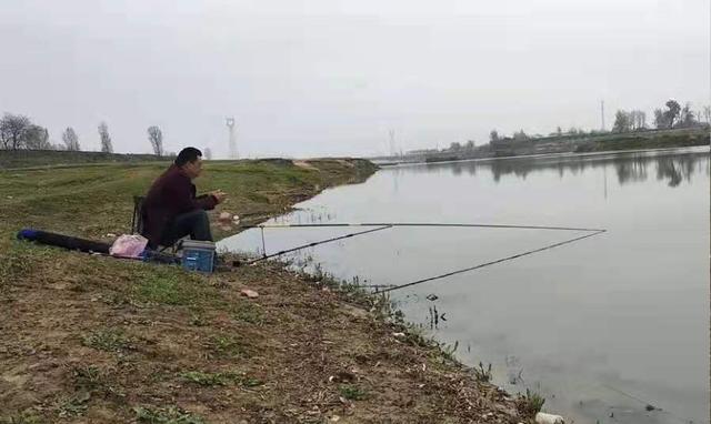 |四月初，鲤鱼反而更好钓，这三个地方鲤鱼一大堆，钓完特过瘾