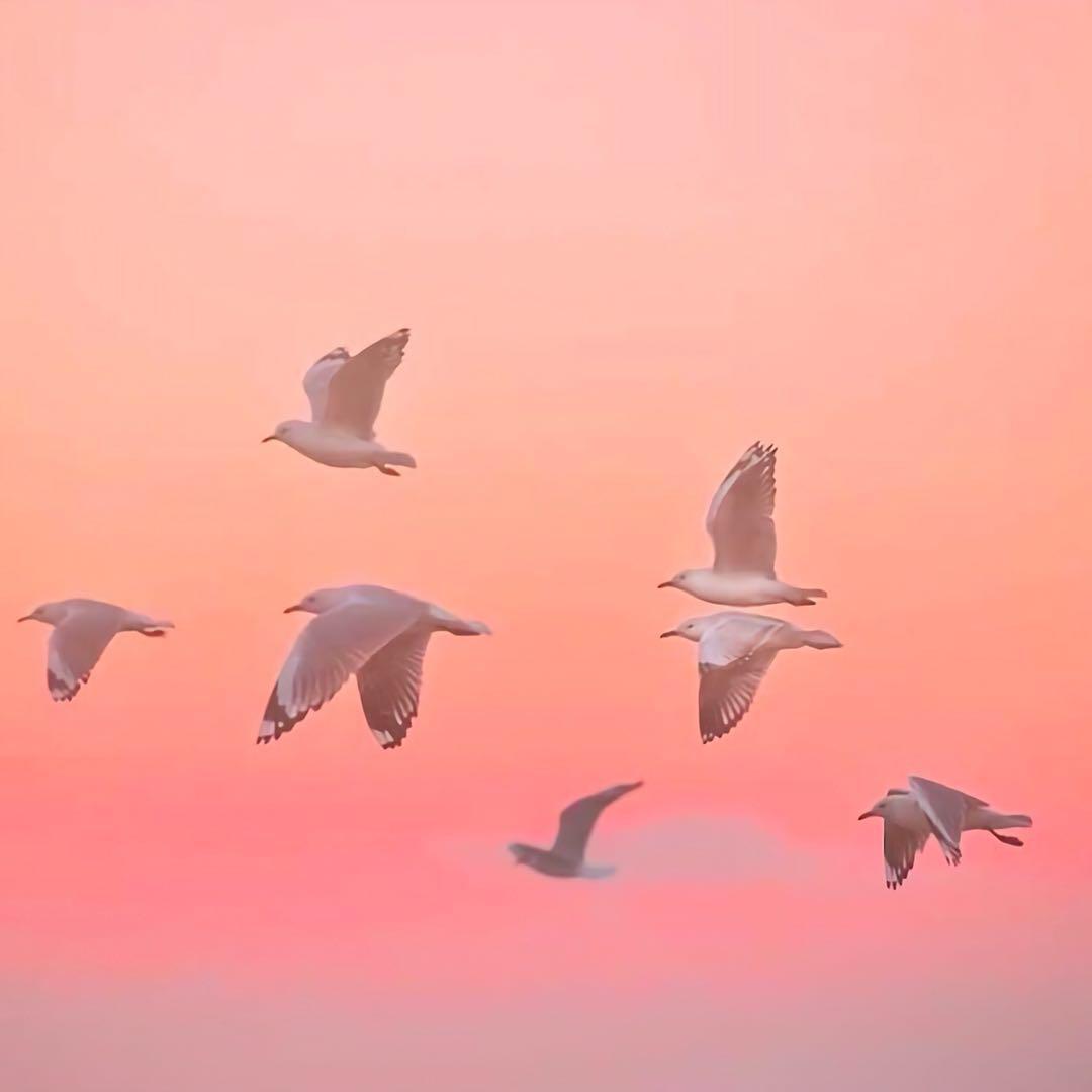 |12星座中，善于用脑的3个星座，想法层出不穷