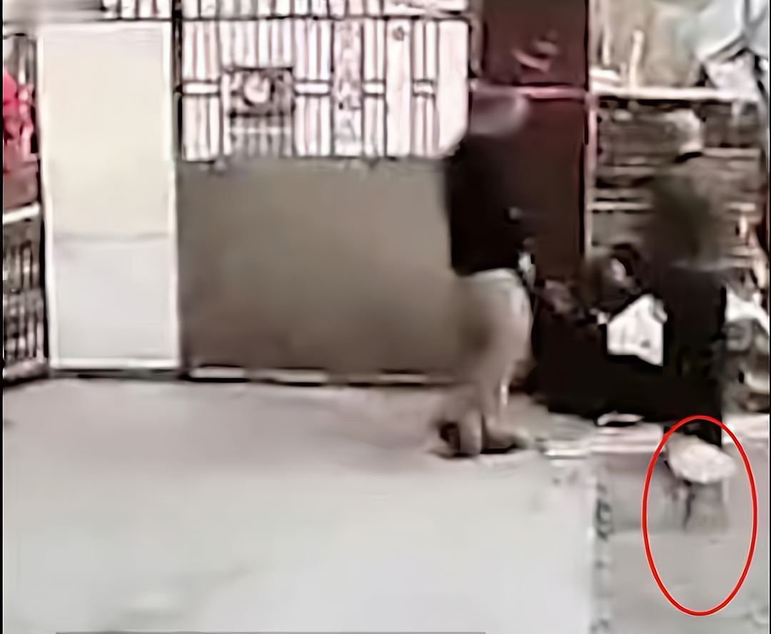 小贾侃侃侃 女子被打致失禁，打人者竟是村主任父子？