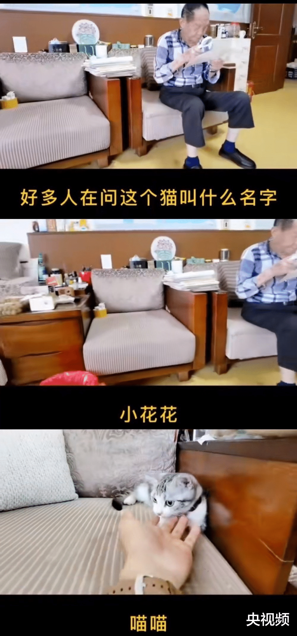 央视频 一稻济天下！“杂交水稻之父”袁隆平水稻之外的人生