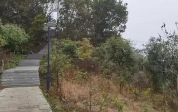 晨跑女孩遇害更多细节曝光:41岁嫌疑人缺乏管教,此前曾见色起意