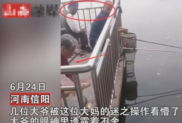 大爷|大爷钓鱼费尽千辛万苦，大妈在一旁放生，大爷眼里满是不舍