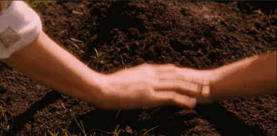 怦然心动|推荐10部爱情喜剧电影！《怦然心动》最让人念念不忘的青春！