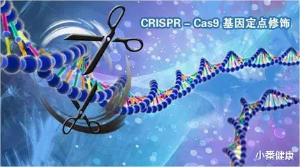 乙肝工程核酸酶研发前景,技术改良后,可以提高小鼠特异性