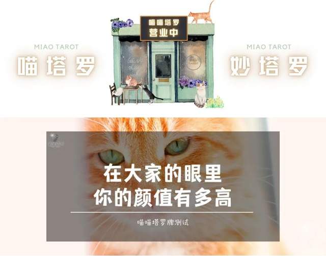 喵喵的塔罗|喵喵塔罗牌测试，在大家的眼里，你的颜值有多高？